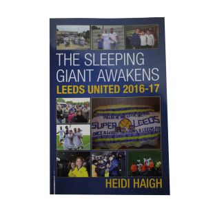 THE SLEEPING GIANT AWAKENS